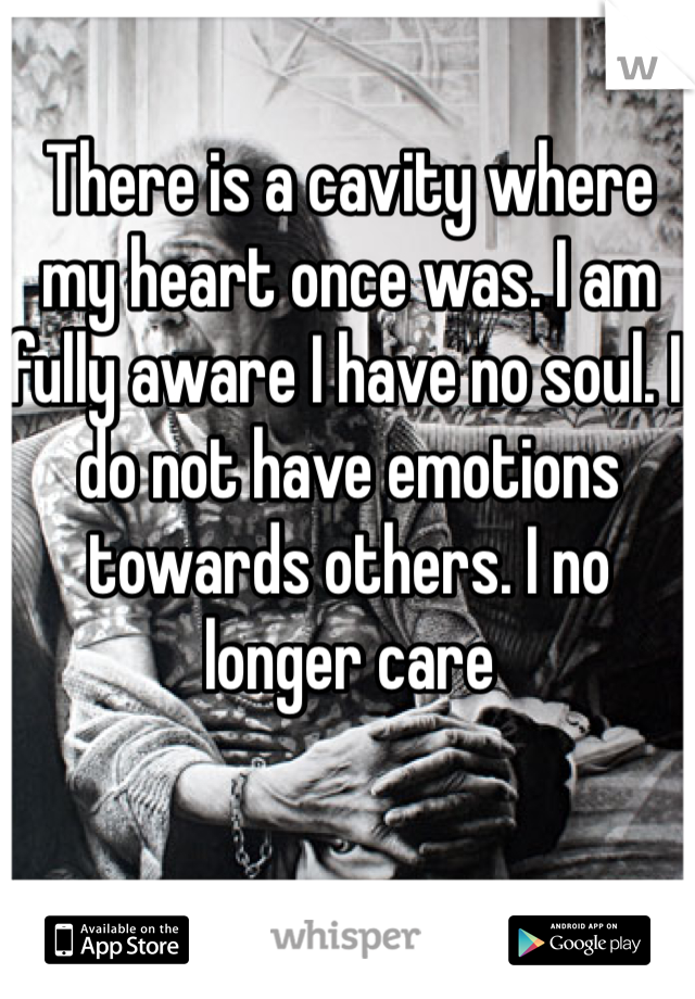 There is a cavity where my heart once was. I am fully aware I have no soul. I do not have emotions towards others. I no longer care