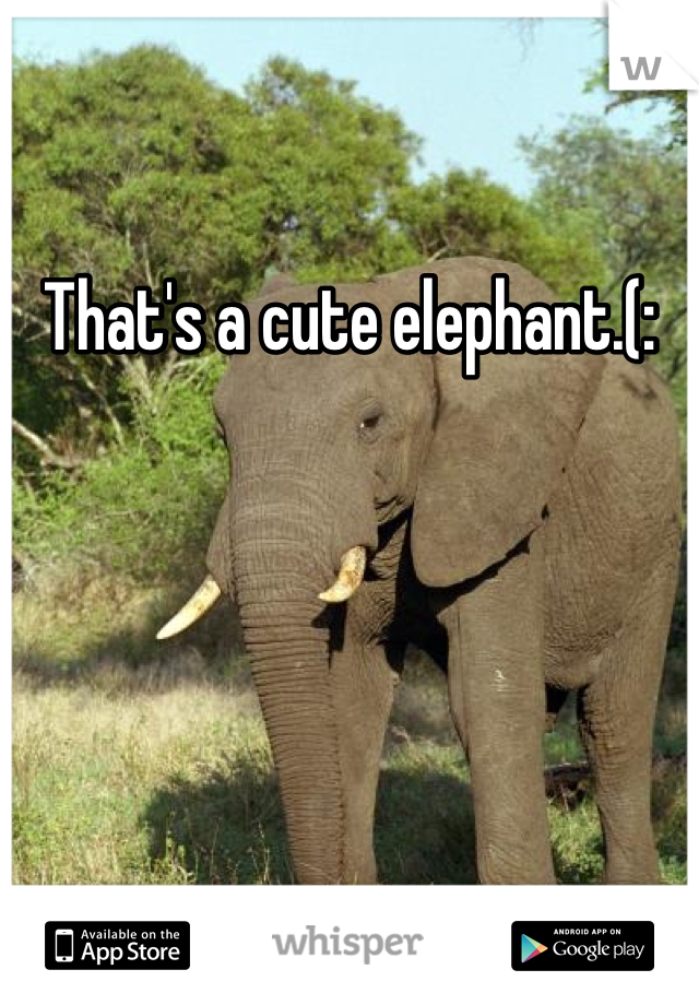 That's a cute elephant.(: