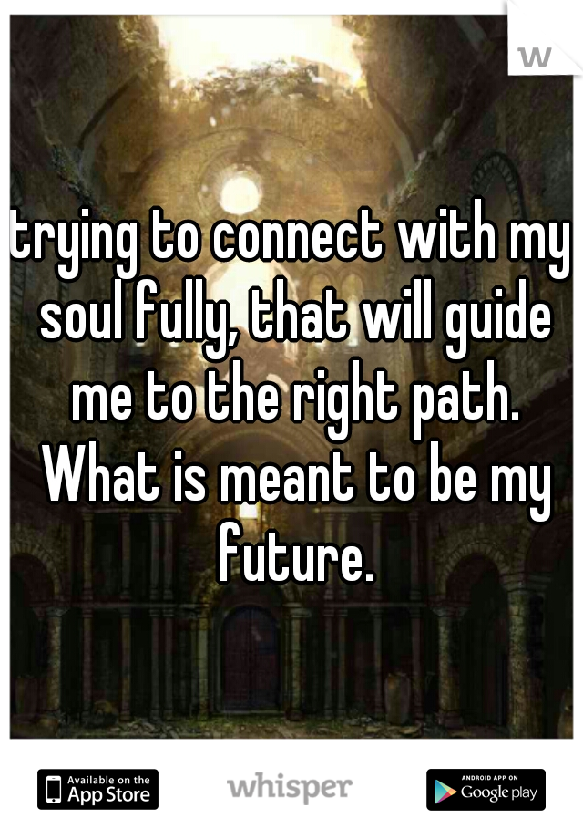 trying to connect with my soul fully, that will guide me to the right path. What is meant to be my future.