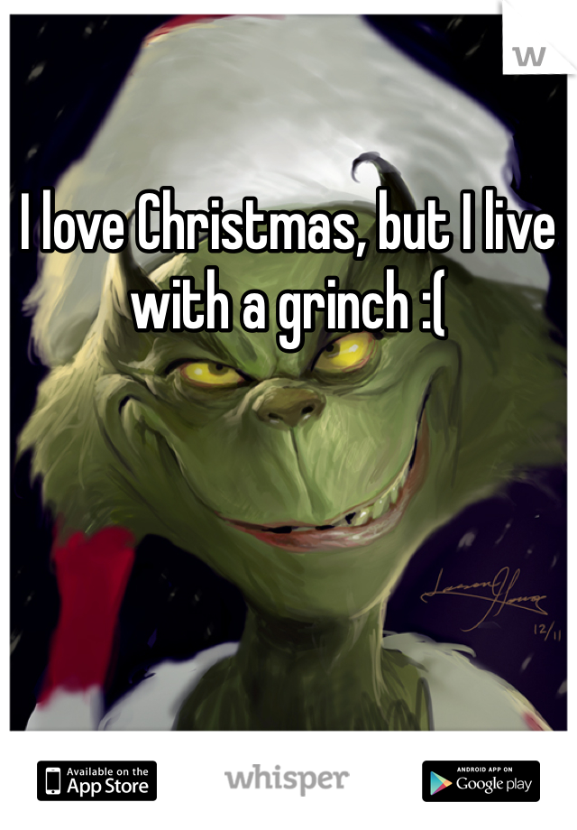 I love Christmas, but I live with a grinch :(