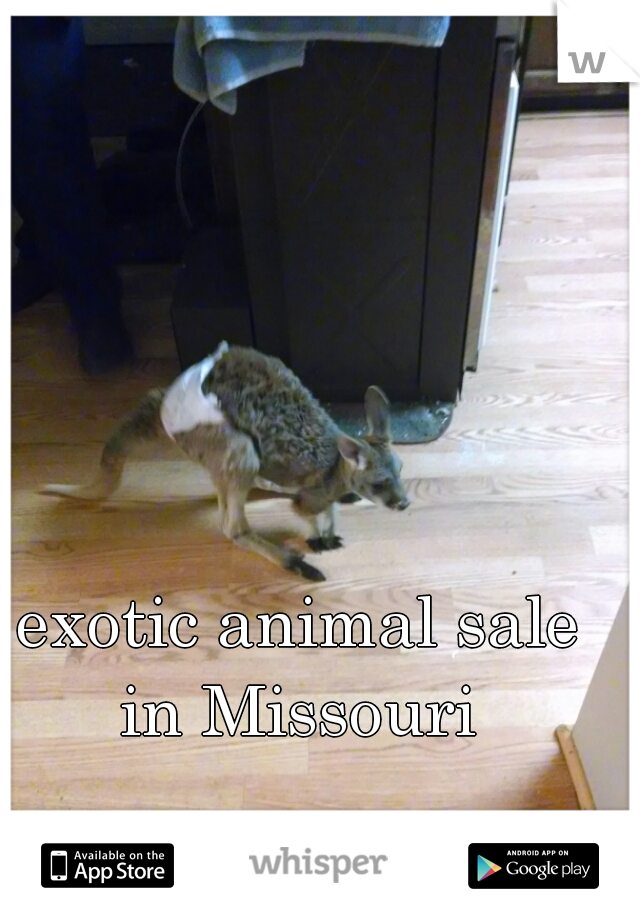 exotic animal sale in Missouri 