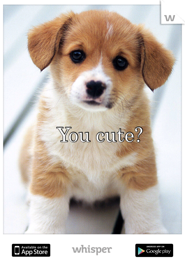 You cute?