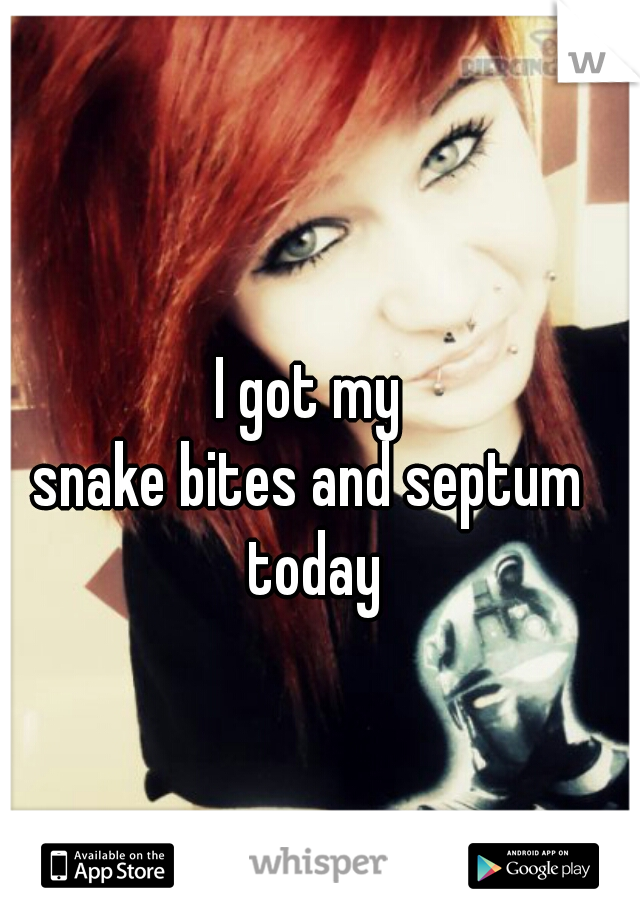 I got my 
snake bites and septum 
today