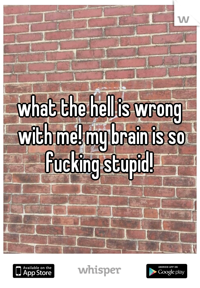 what the hell is wrong with me! my brain is so fucking stupid! 