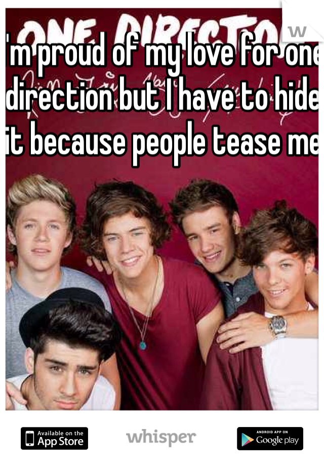I'm proud of my love for one direction but I have to hide it because people tease me