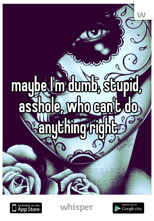 maybe I'm dumb, stupid, asshole, who can't do anything right