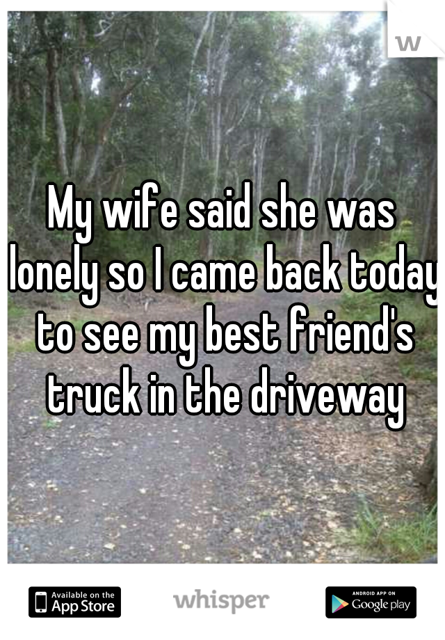 My wife said she was lonely so I came back today to see my best friend's truck in the driveway