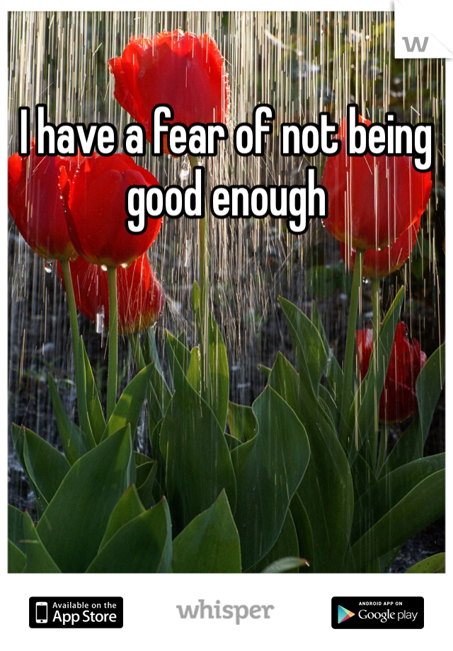 I have a fear of not being good enough 