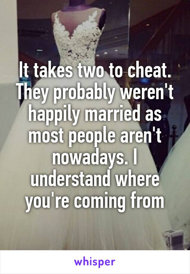 It takes two to cheat. They probably weren't happily married as most people aren't nowadays. I understand where you're coming from