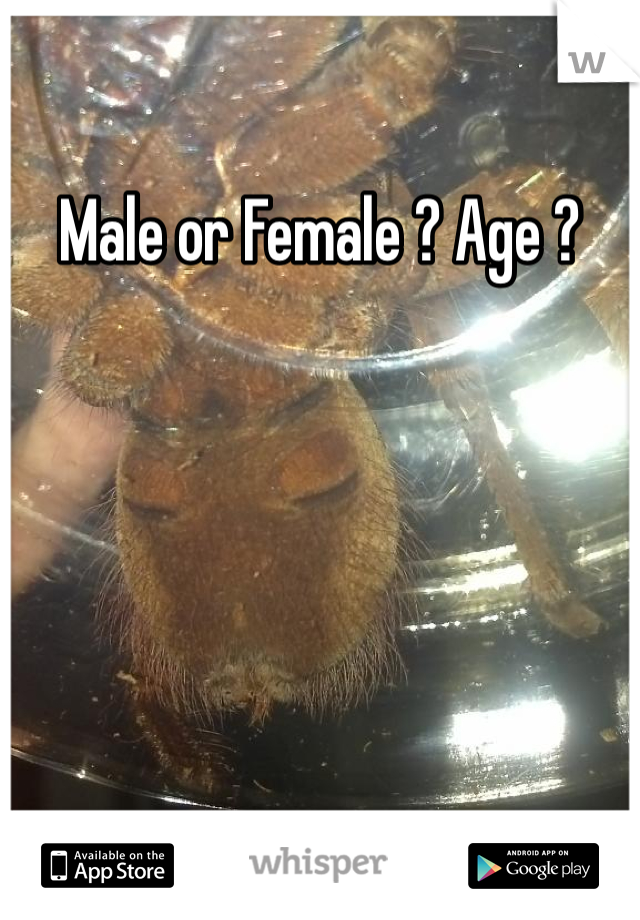 Male or Female ? Age ?