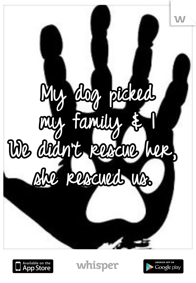 My dog picked
my family & I
We didn't rescue her, 
she rescued us. 