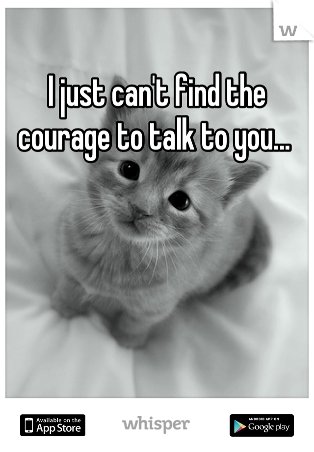 I just can't find the courage to talk to you... 