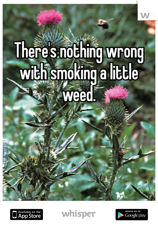 There's nothing wrong with smoking a little weed. 