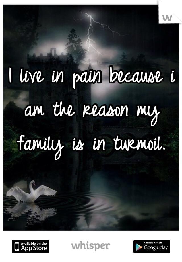 I live in pain because i am the reason my family is in turmoil. 