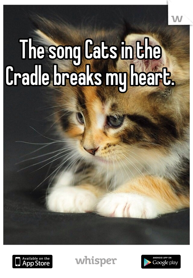 The song Cats in the Cradle breaks my heart.