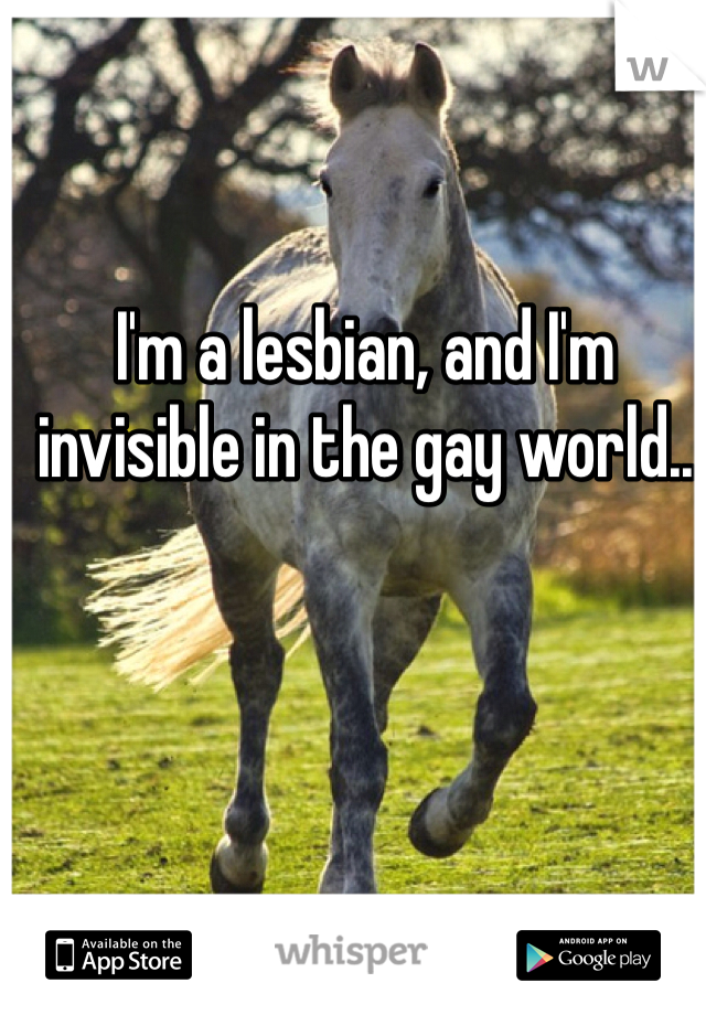I'm a lesbian, and I'm invisible in the gay world..