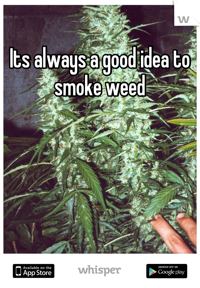 Its always a good idea to smoke weed