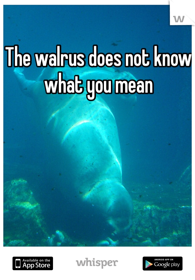 The walrus does not know what you mean