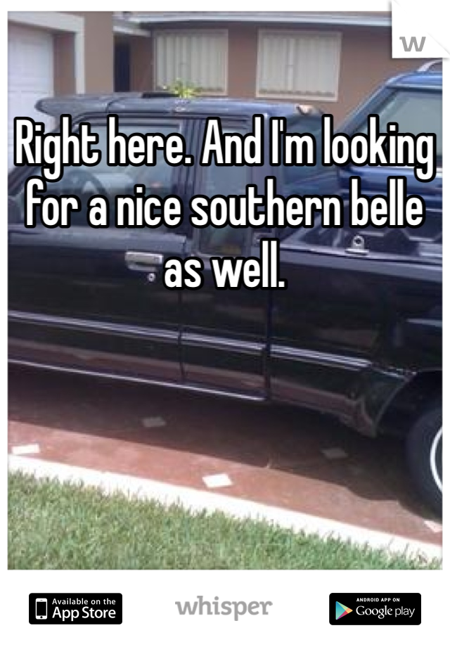Right here. And I'm looking for a nice southern belle as well. 