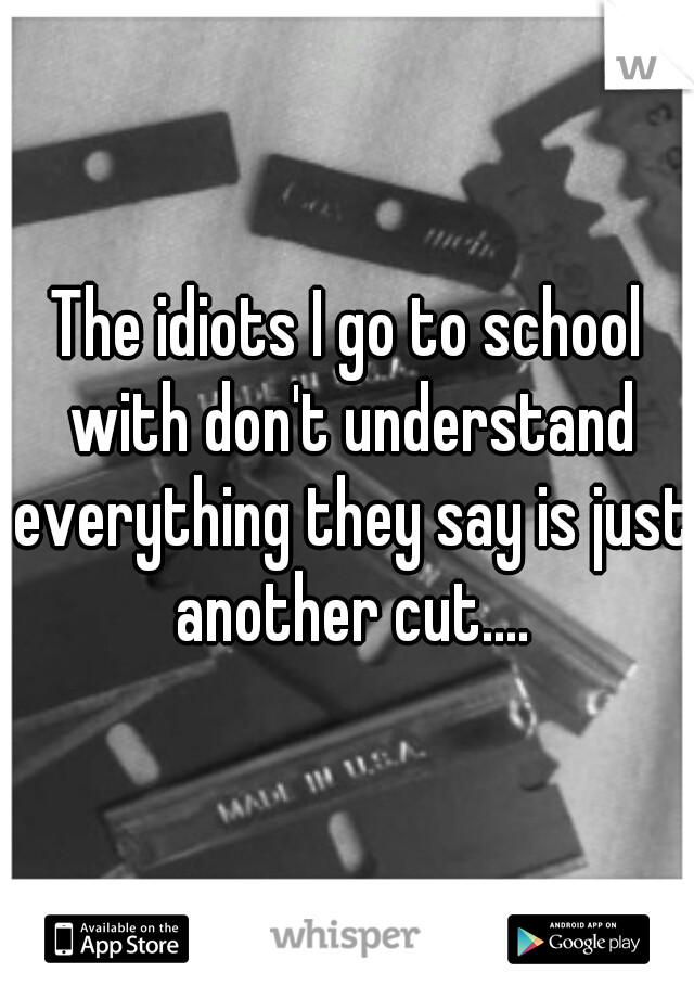 The idiots I go to school with don't understand everything they say is just another cut....