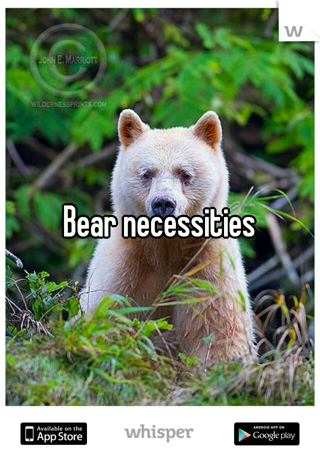 Bear necessities