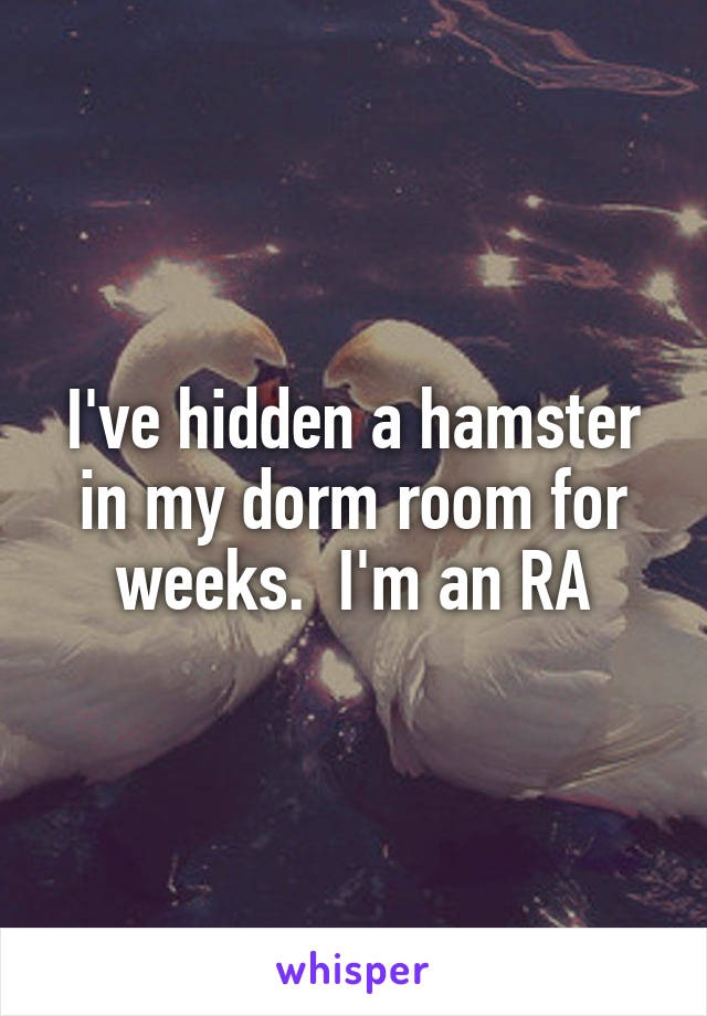I've hidden a hamster in my dorm room for weeks.  I'm an RA