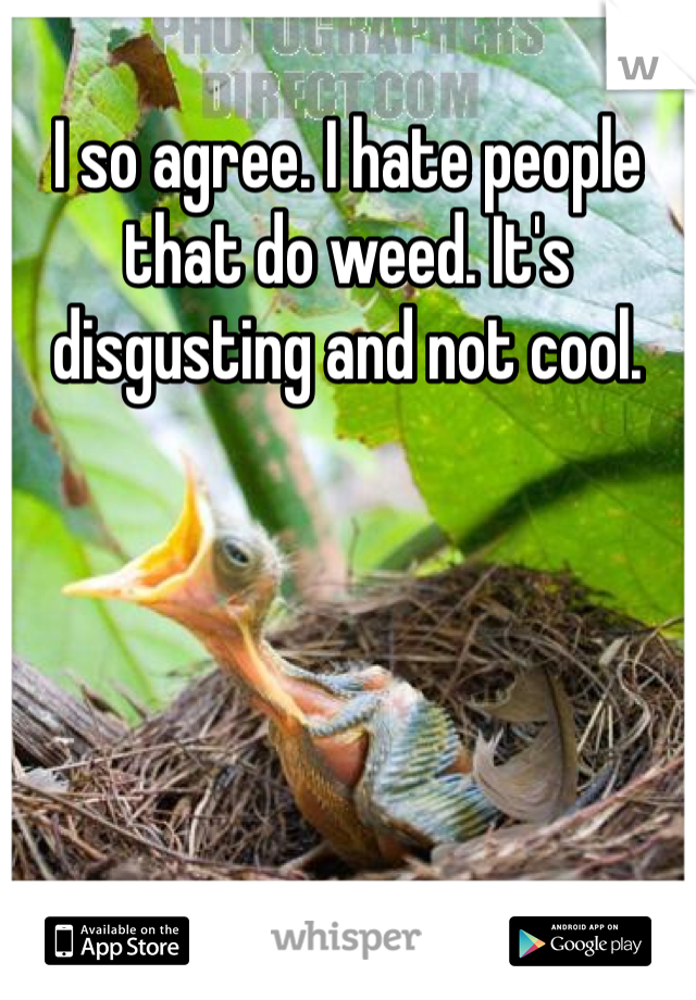 I so agree. I hate people that do weed. It's disgusting and not cool. 