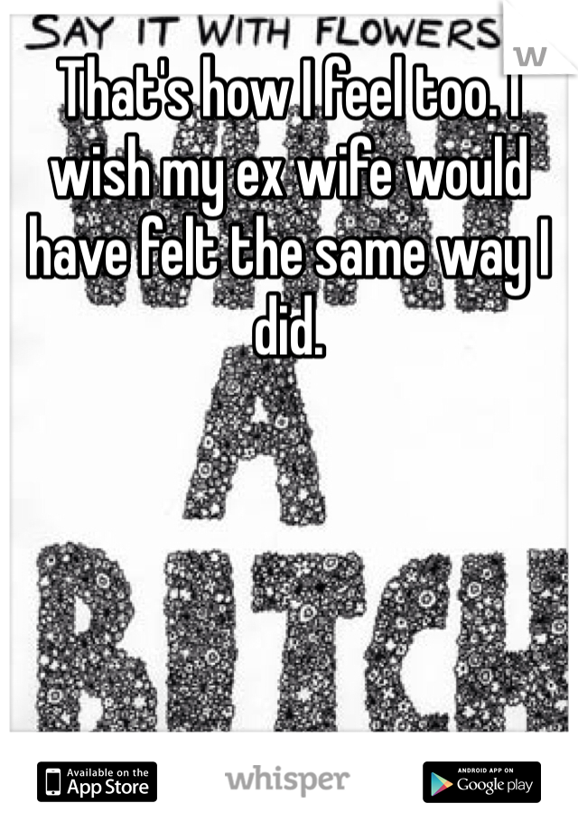 That's how I feel too. I wish my ex wife would have felt the same way I did. 