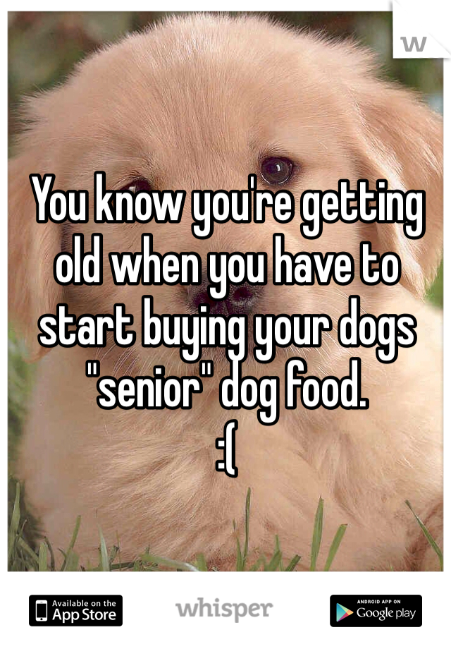 You know you're getting old when you have to start buying your dogs "senior" dog food.
:(