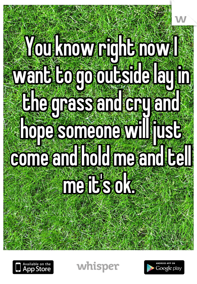 You know right now I want to go outside lay in the grass and cry and hope someone will just come and hold me and tell me it's ok. 