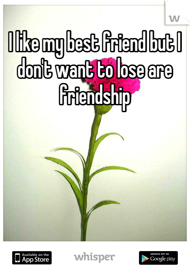 I like my best friend but I don't want to lose are friendship