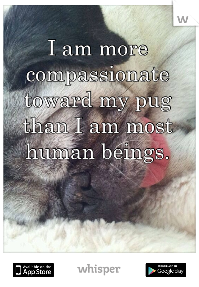 I am more compassionate toward my pug than I am most human beings.