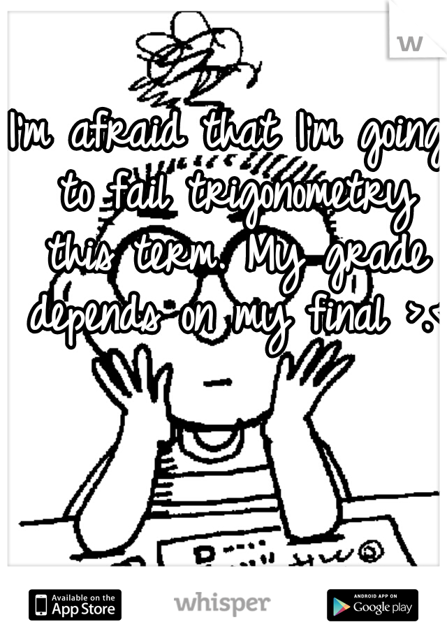 I'm afraid that I'm going to fail trigonometry this term. My grade depends on my final >.<