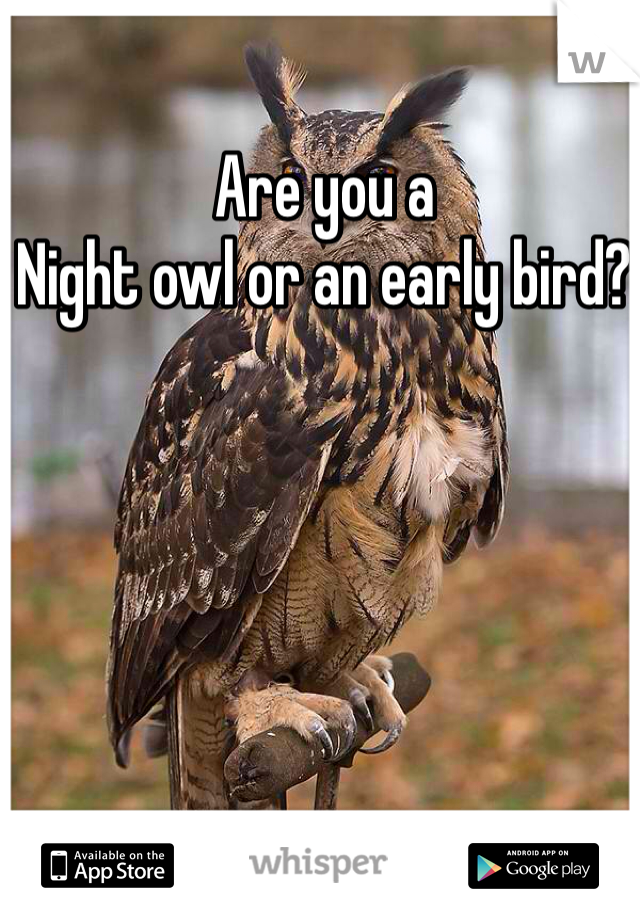 Are you a 
Night owl or an early bird? 