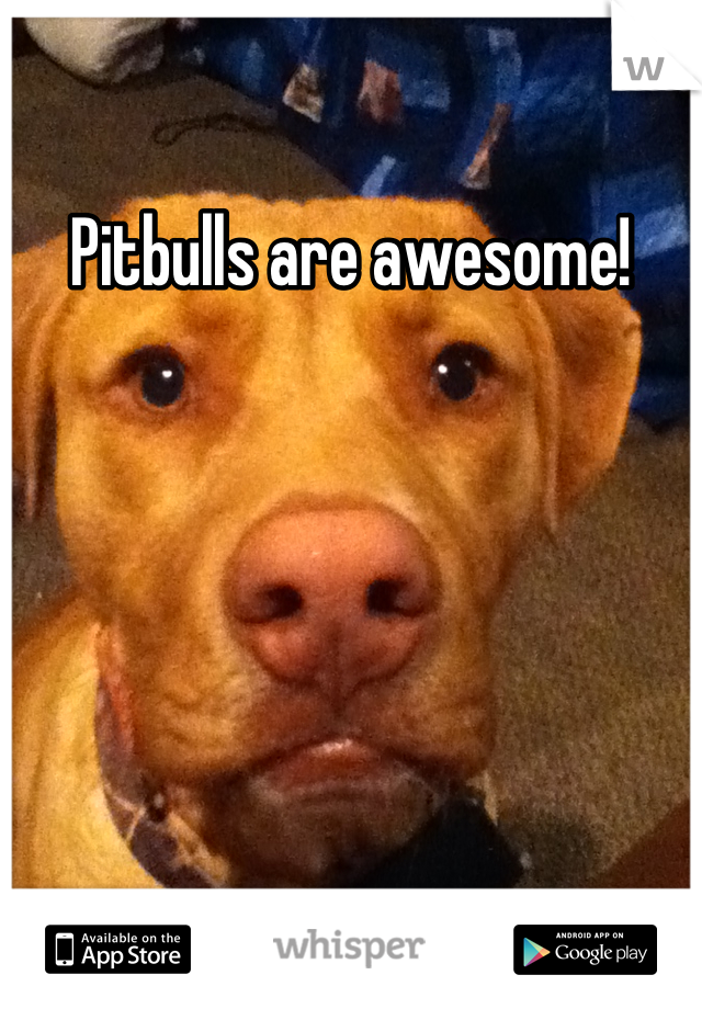 Pitbulls are awesome!