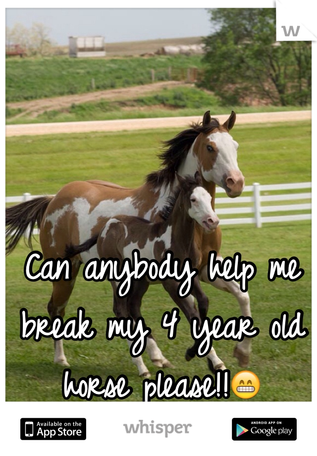 Can anybody help me break my 4 year old horse please!!😁
