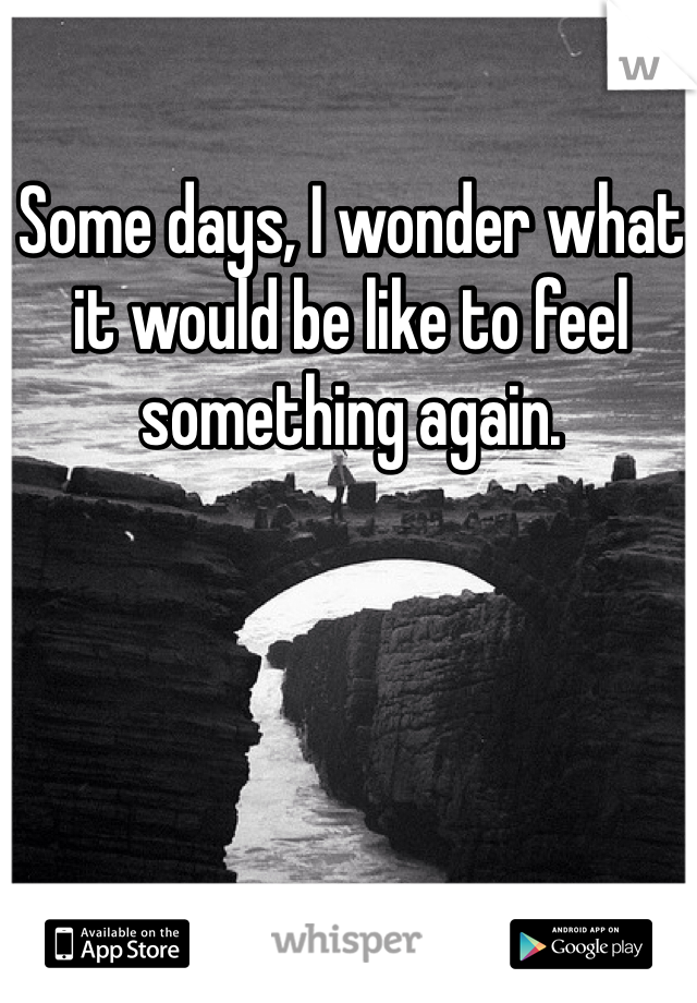 Some days, I wonder what it would be like to feel something again. 