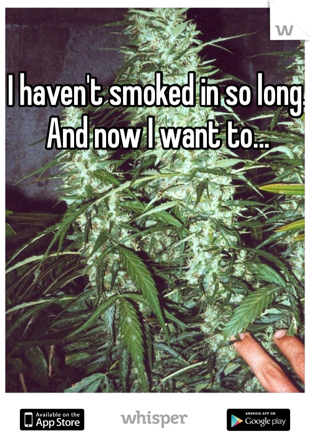 I haven't smoked in so long. And now I want to... 