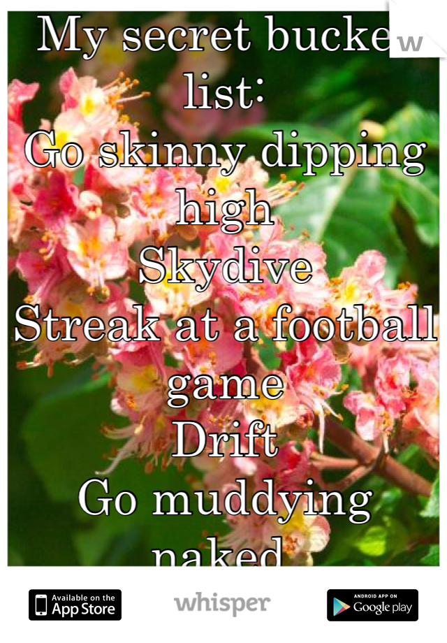 My secret bucket list:
Go skinny dipping high
Skydive 
Streak at a football game
Drift 
Go muddying naked 
