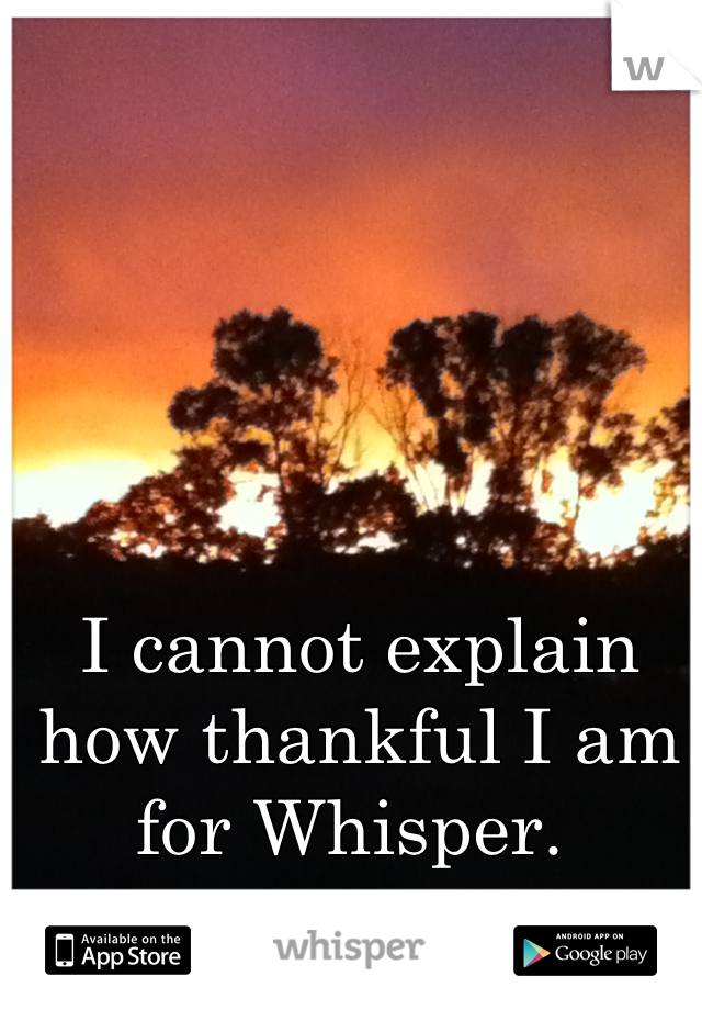 I cannot explain how thankful I am for Whisper. 