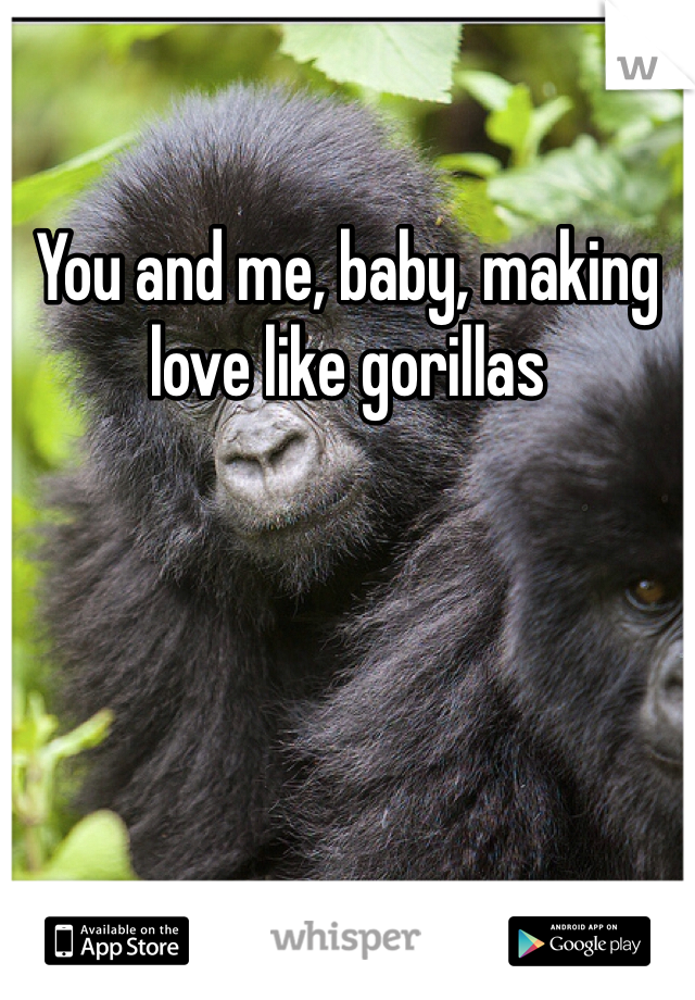 You and me, baby, making love like gorillas