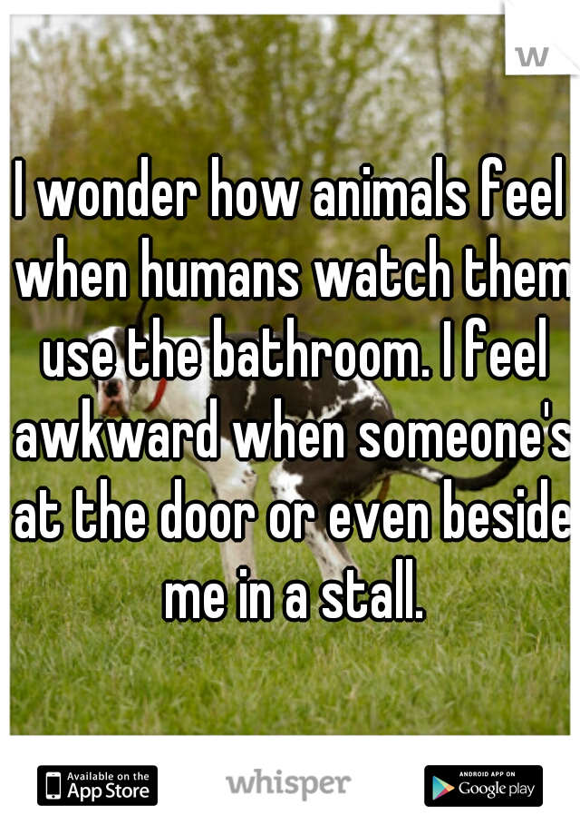 I wonder how animals feel when humans watch them use the bathroom. I feel awkward when someone's at the door or even beside me in a stall.