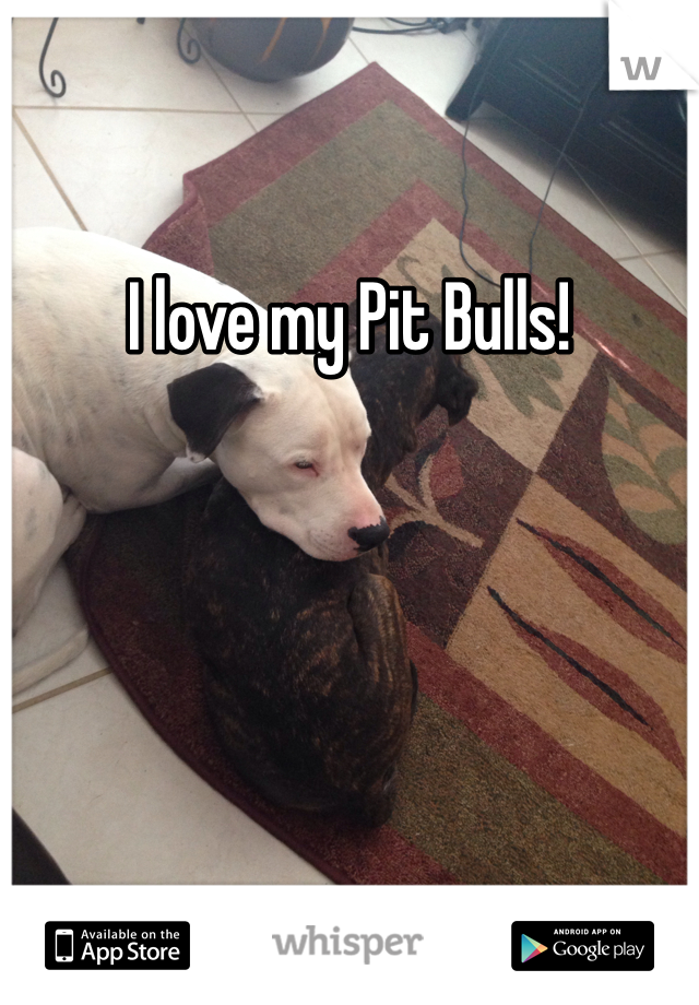 I love my Pit Bulls!