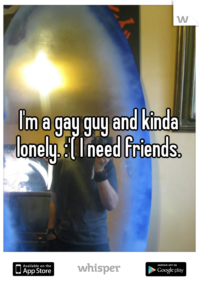 I'm a gay guy and kinda lonely. :'( I need friends. 