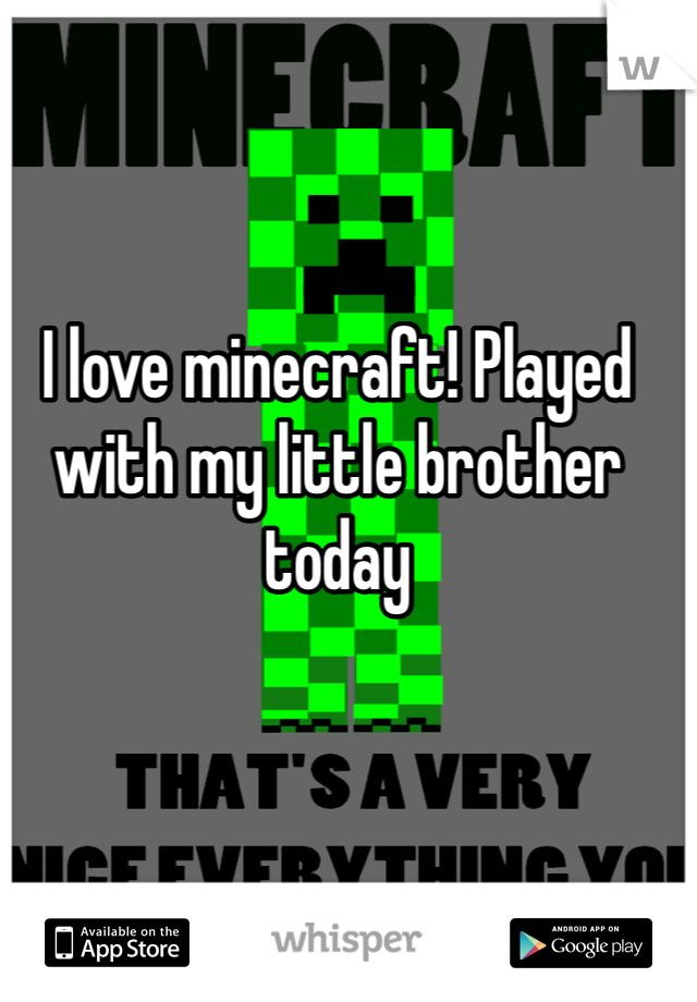 I love minecraft! Played with my little brother today