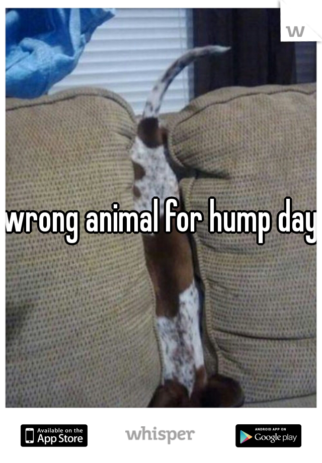 wrong animal for hump day!