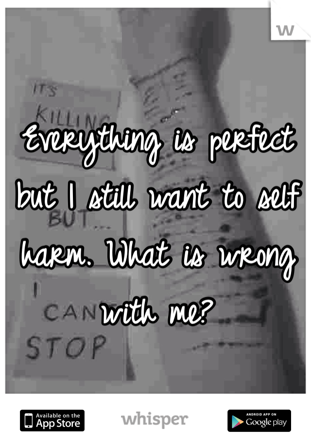 Everything is perfect but I still want to self harm. What is wrong with me?
