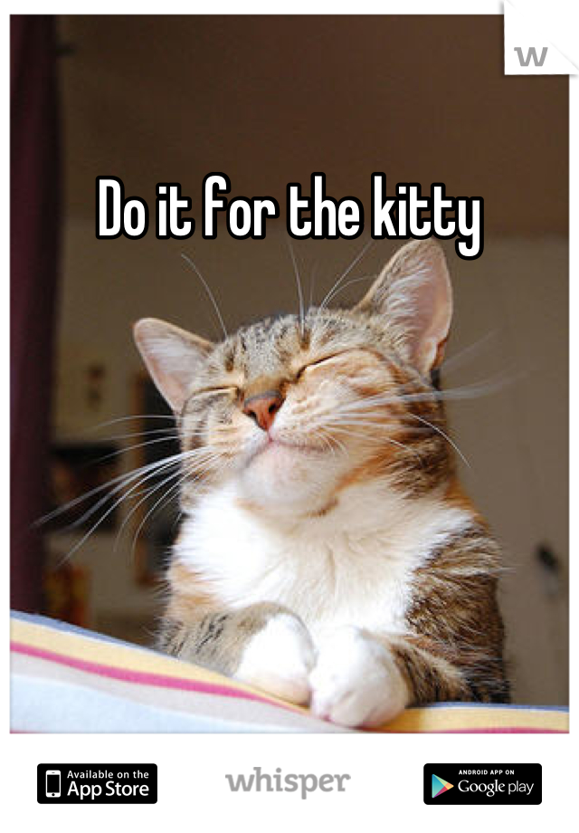 Do it for the kitty
