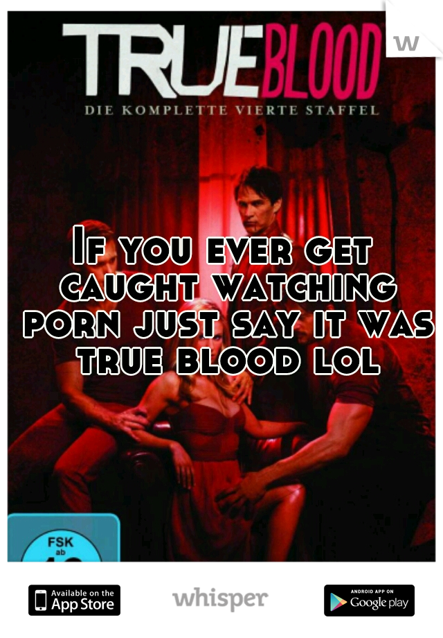 If you ever get caught watching porn just say it was true blood lol