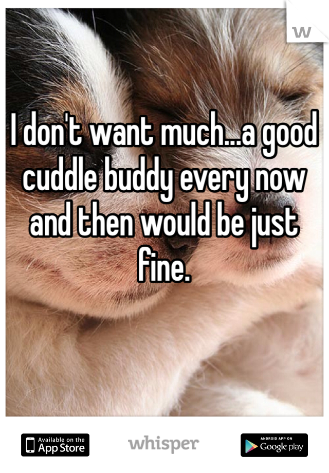 I don't want much...a good cuddle buddy every now and then would be just fine. 